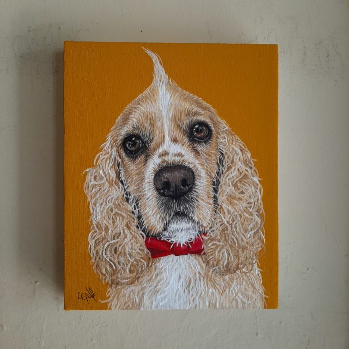 WhatsApp Image 2024-04-04 at 10.31.16 PM (2)