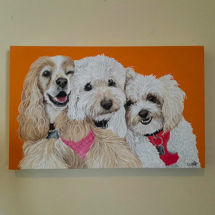 WhatsApp Image 2024-04-04 at 10.31.17 PM