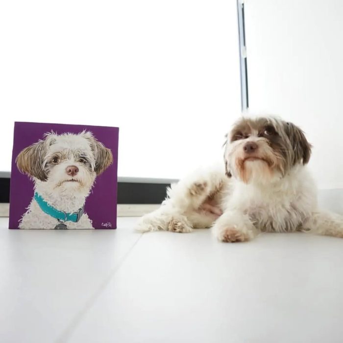 WhatsApp Image 2024-04-04 at 10.37.41 PM (1)