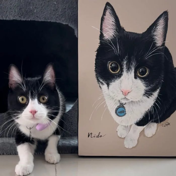 WhatsApp Image 2024-04-04 at 10.37.41 PM (3)