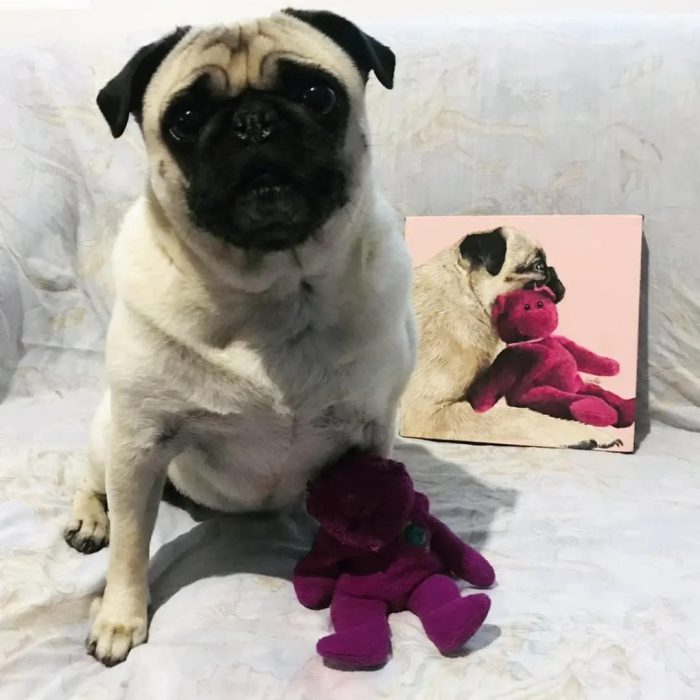 WhatsApp Image 2024-04-04 at 10.37.41 PM