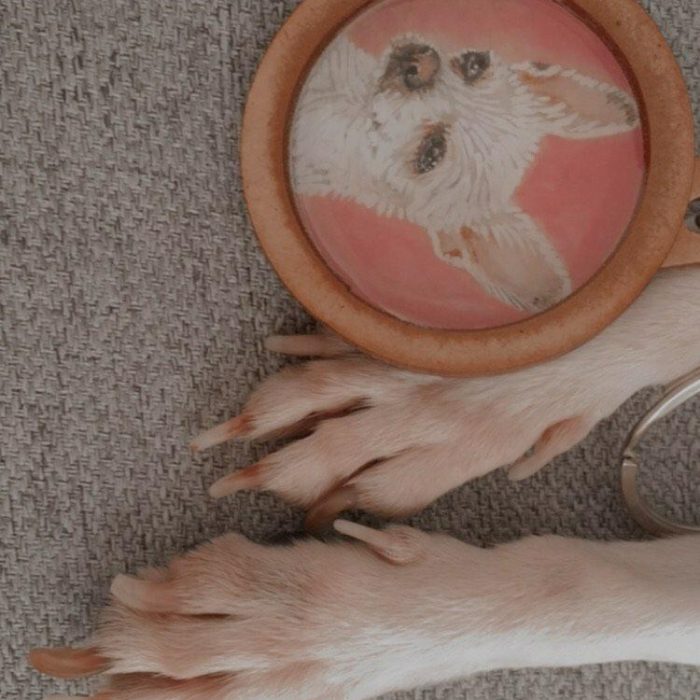 WhatsApp Image 2024-04-04 at 10.37.42 PM (1)