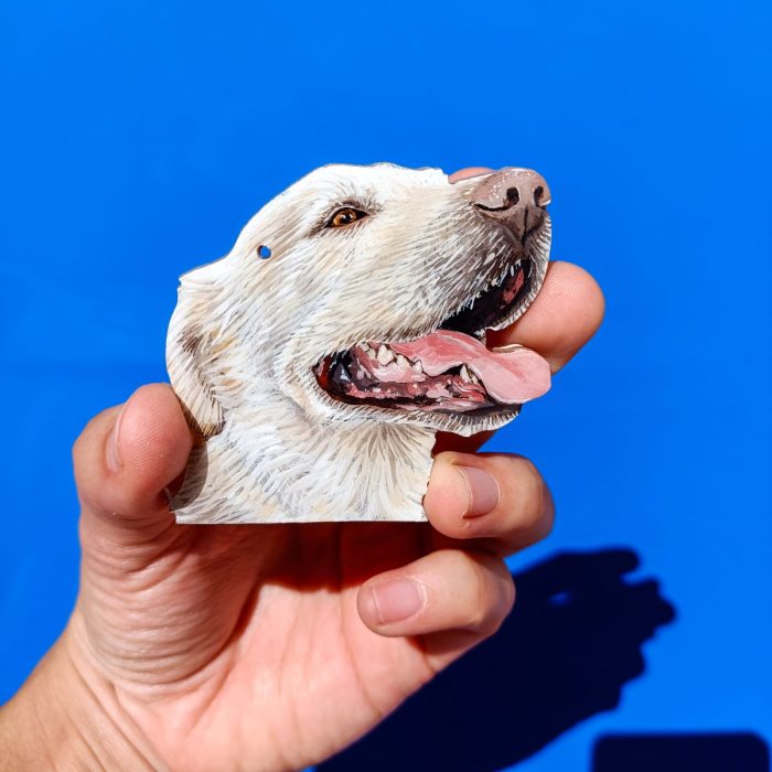 WhatsApp Image 2024-04-04 at 10.40.42 PM